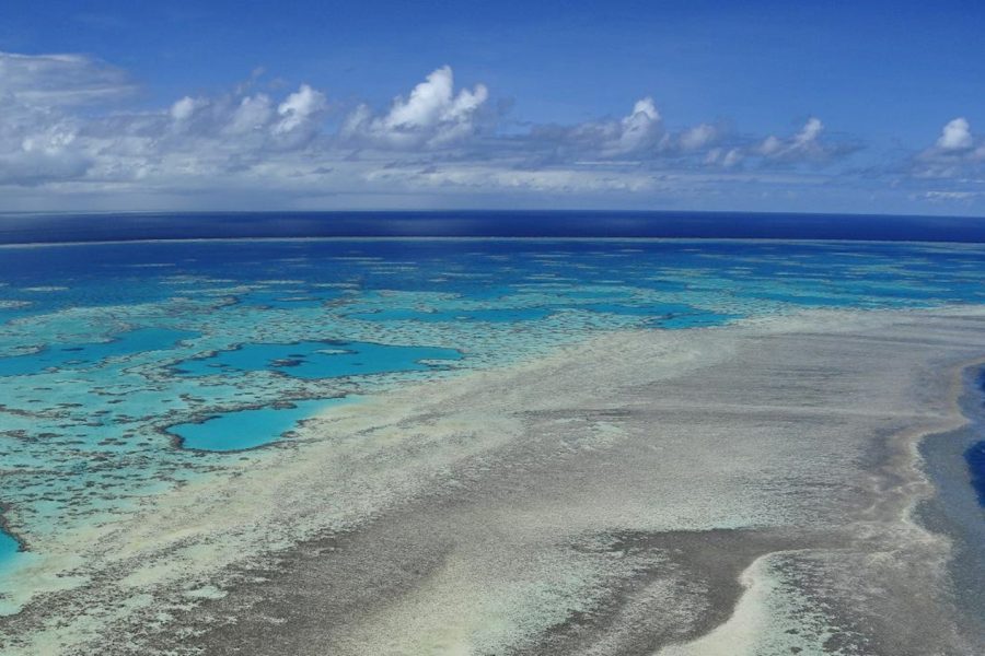 Great Barrier Reef Scenic Flight