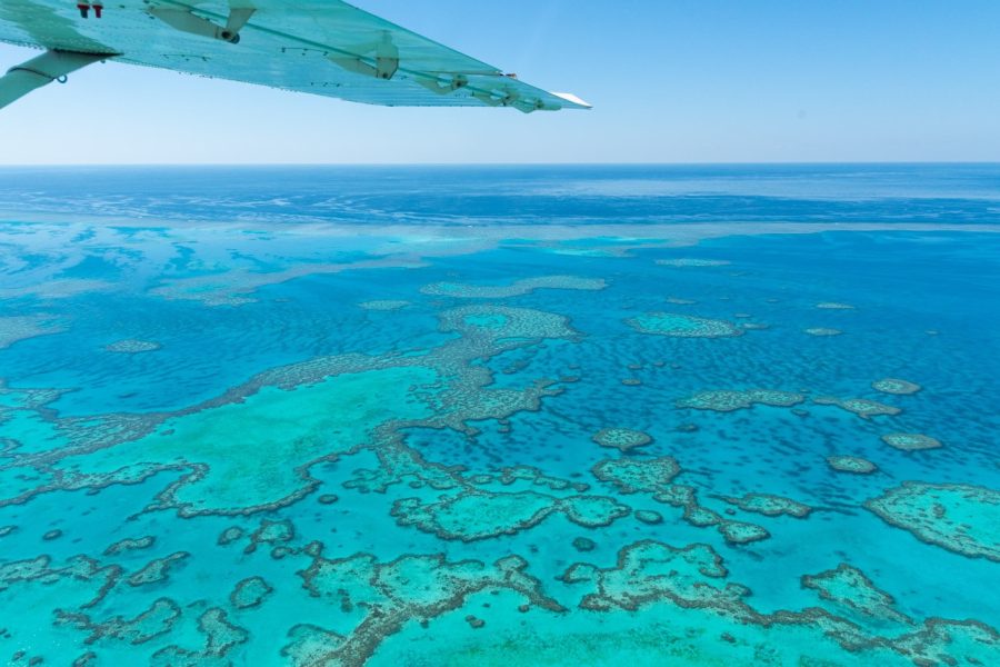 Survol de la Grande barrière de corail