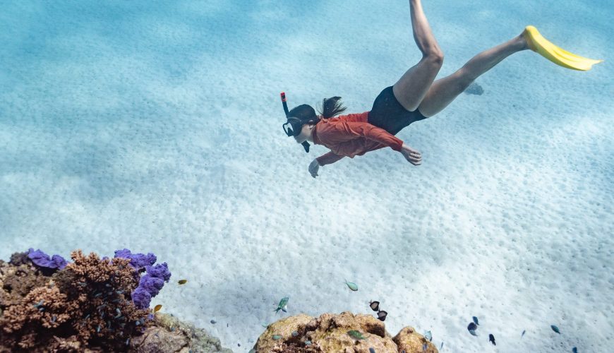 Snorkeling Grande barrière de Corail depuis Port Douglas