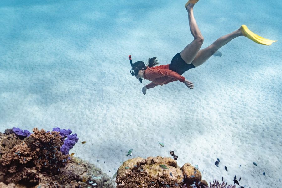 Snorkeling Grande barrière de Corail depuis Port Douglas