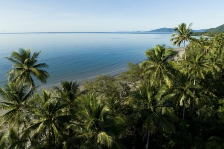 Que faire et que voir à Port Douglas et ses environs ?