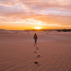 Visiter Wilsons Promontory : itinéraire depuis Melbourne