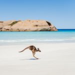 Visiter Esperance : que faire, plages et itinéraires (guide complet)
