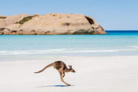 Visiter Esperance : que faire, plages et itinéraires (guide complet)
