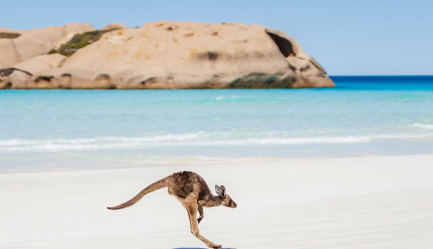Visiter Esperance : que faire, plages et itinéraires (guide complet)