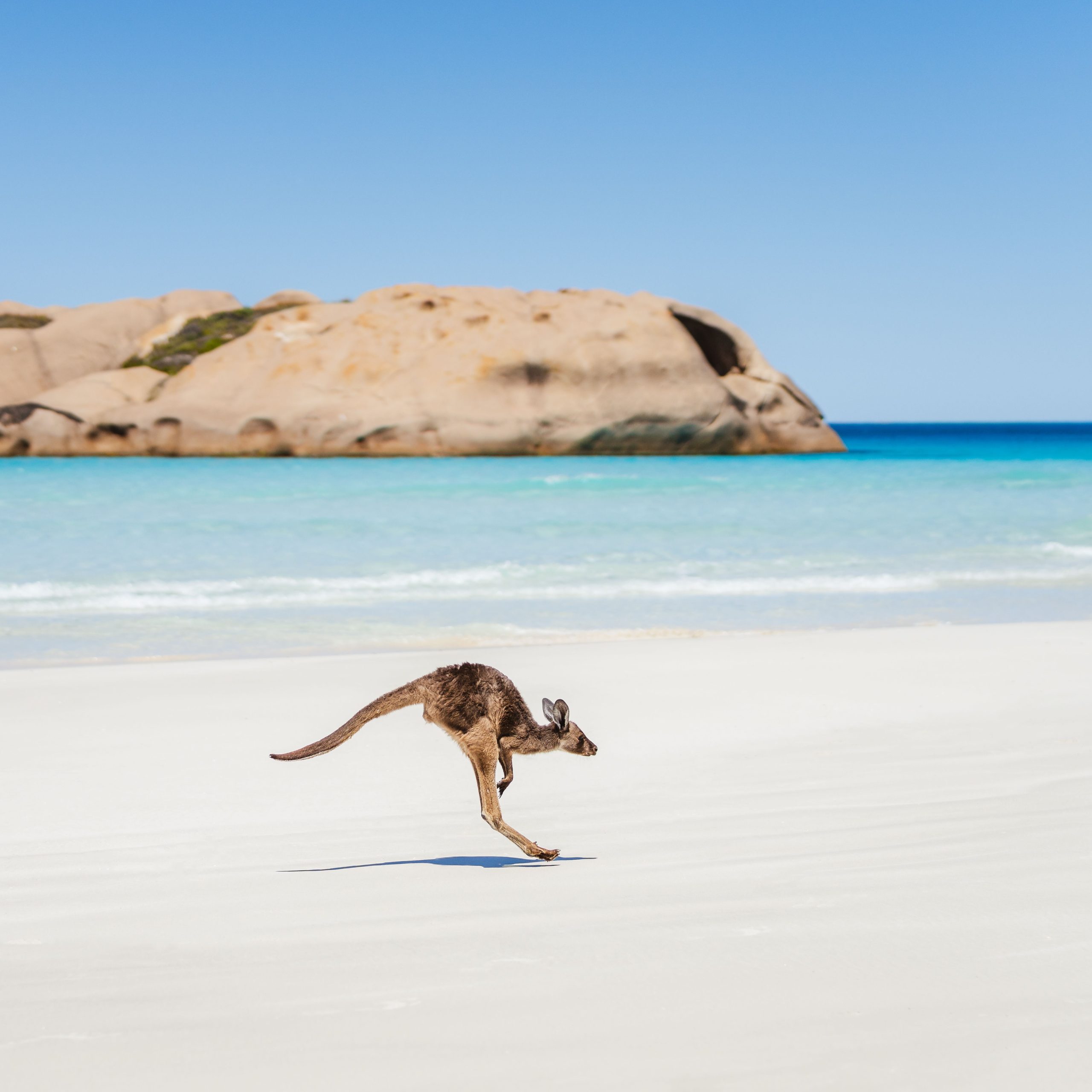 Visiter Esperance : que faire, plages et itinéraires (guide complet)