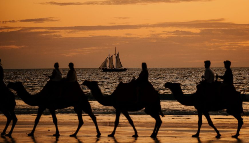 Balade à dos de chameau à Broome : le guide complet !