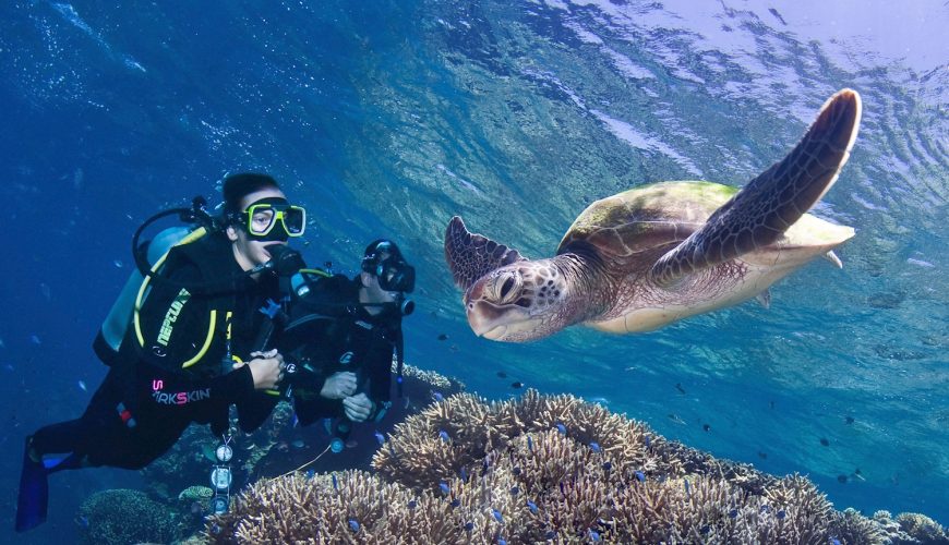 Pro Dive Liveaboard