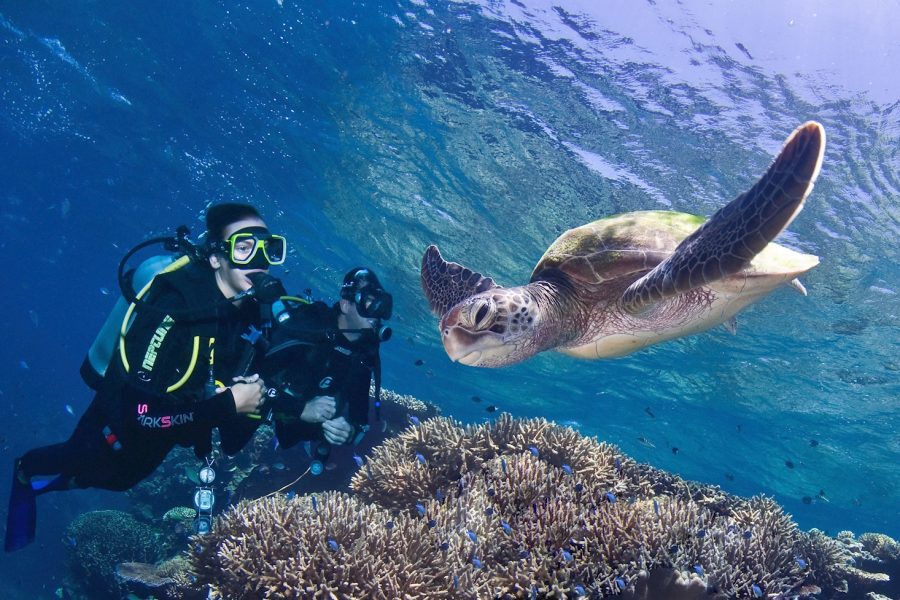 Pro Dive Liveaboard