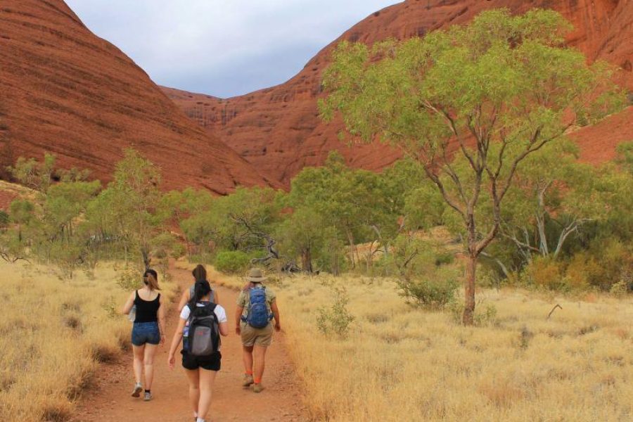 Circuit 3 jours Uluru, Kata Tjuta & Kings Canyon en 4×4