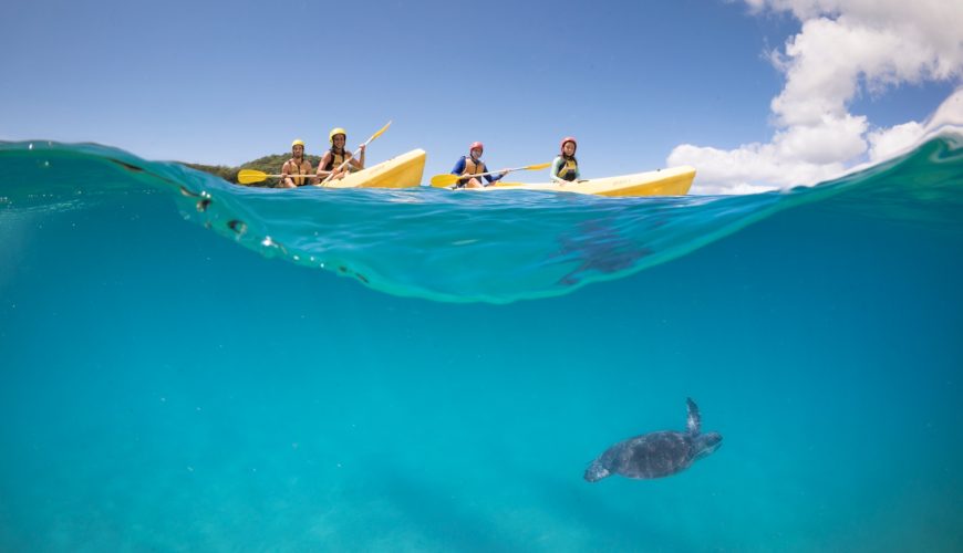 Kayak avec les dauphins et tortues à Byron Bay