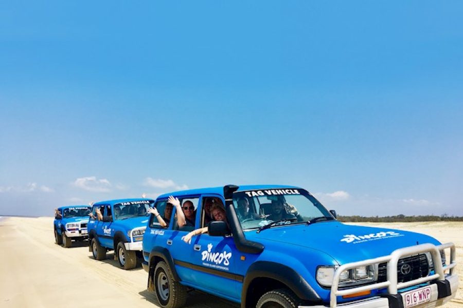 dingos-kgari 4wd in sand