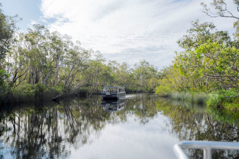Exploration des everglades de Noosa en kayak