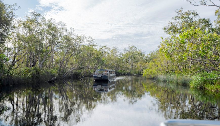 Exploration des everglades de Noosa en kayak