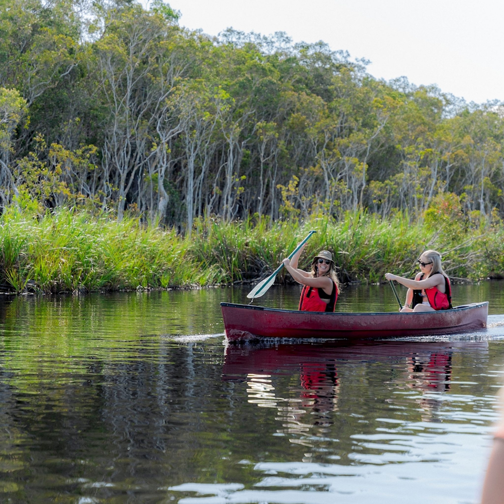 everglades noosa