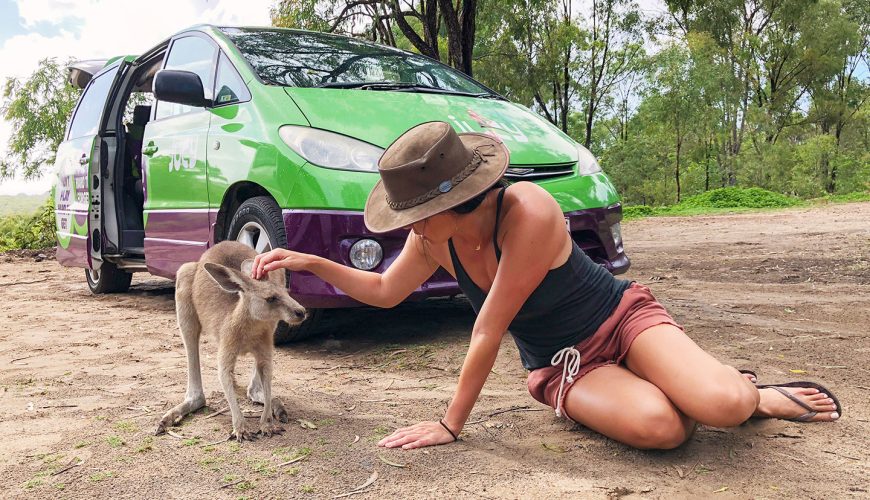 Quelle est la meilleure saison pour un road trip en van en Australie ?