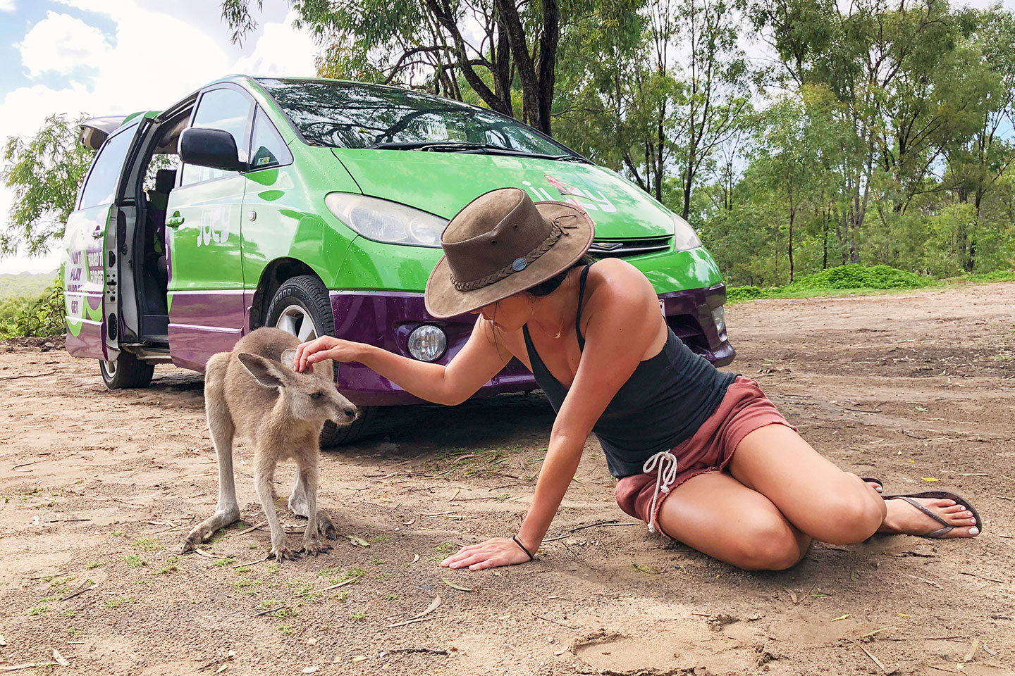 Quelle est la meilleure saison pour un road trip en van en Australie ?