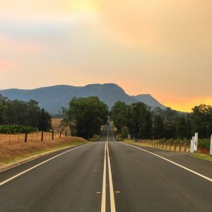 Visiter la Hunter Valley