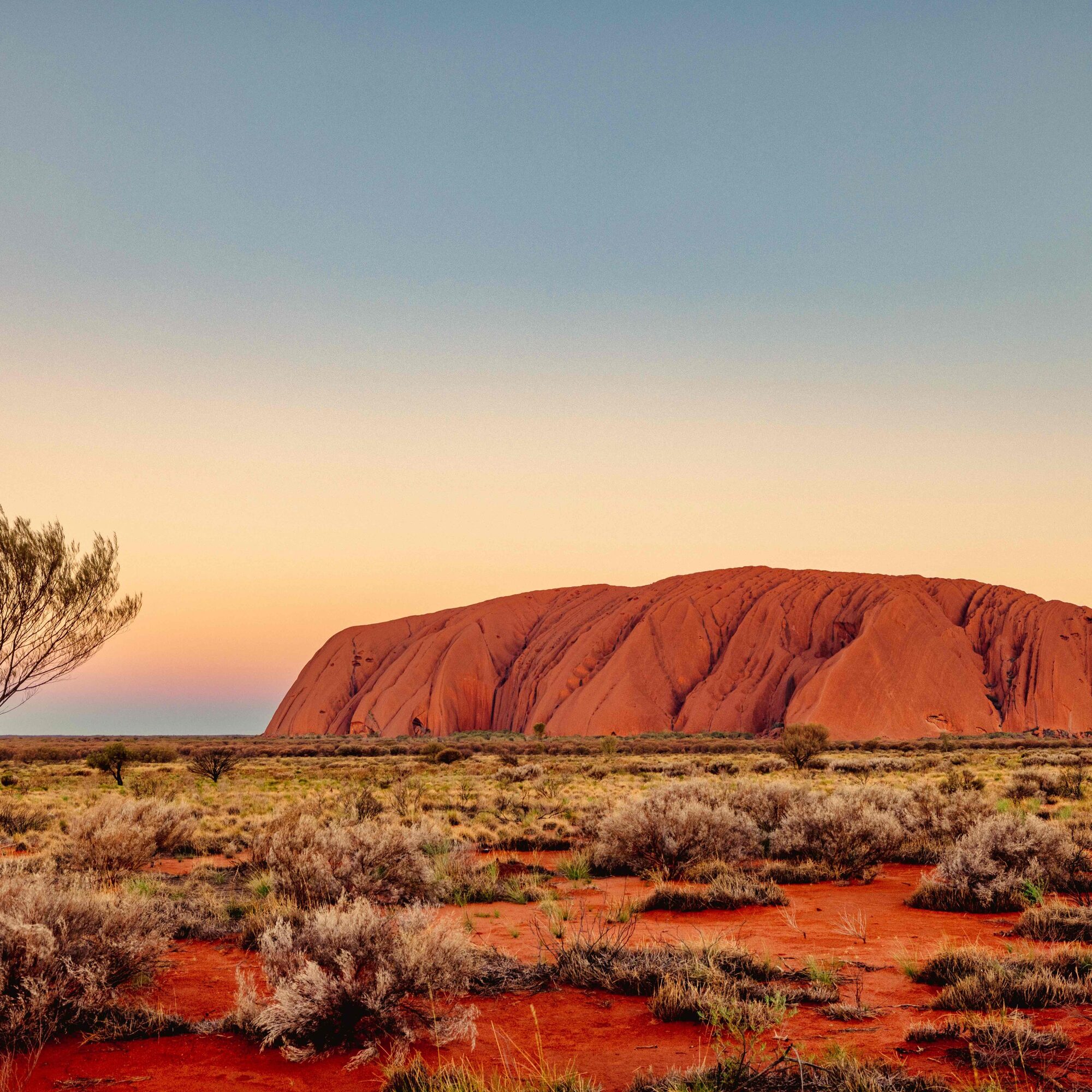 Road trip dans le Centre rouge : Uluru, Kata Tjuta et Kings Canyon