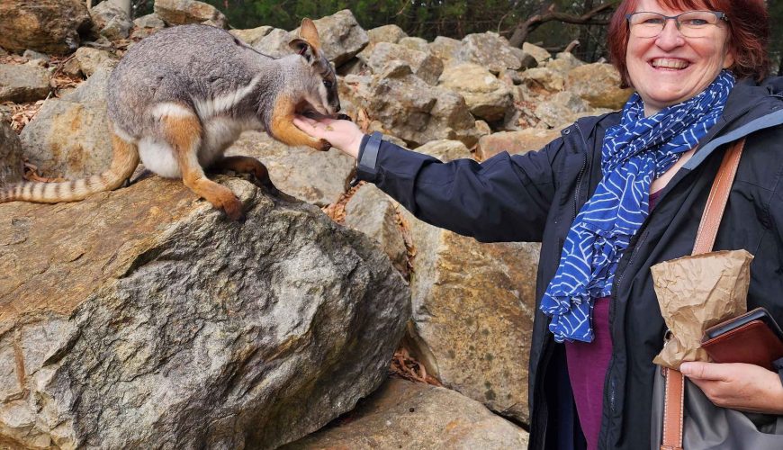 Adelaide Hills en 1 jour : koalas de Cleland, mont Lofty et village allemand de Hahndorf