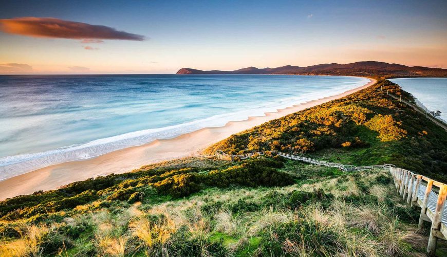 Bruny Island en 1 jour depuis Hobart : côtes sauvages, faune et produits du terroir