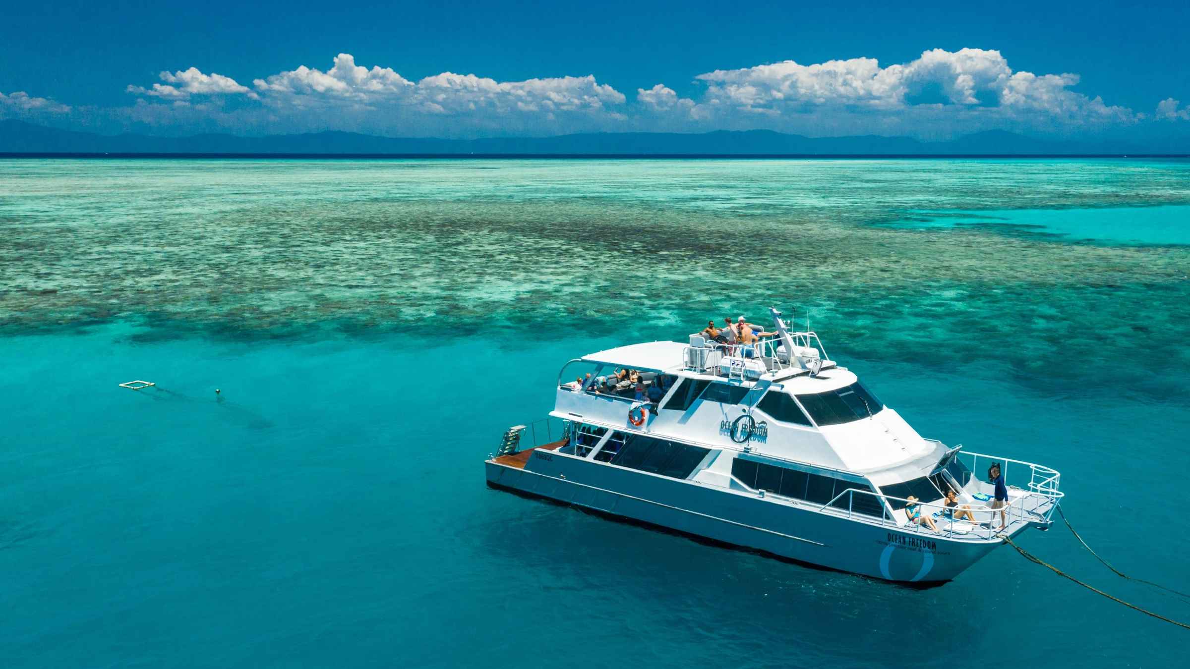 Road trip dans la Daintree : Port Douglas et Cape Tribulation