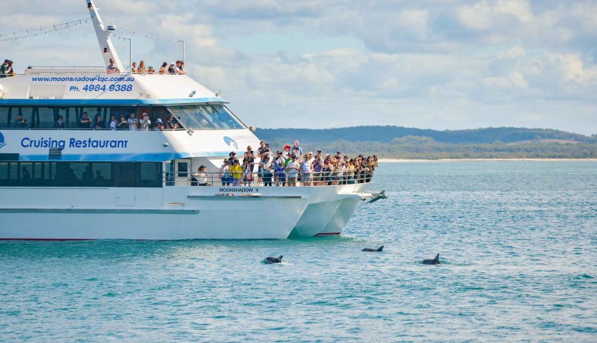 Croisière aux dauphins à Port Stephens, avec filet de baignade