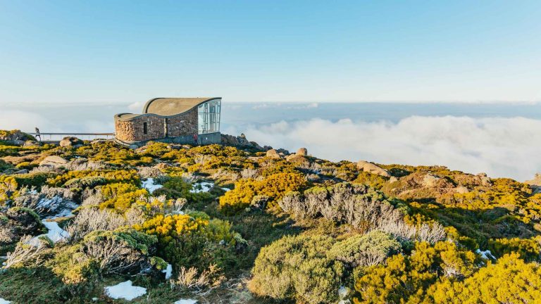 Mont Wellington, Mont Field, Bonorong et Richmond en 1 jour depuis Hobart
