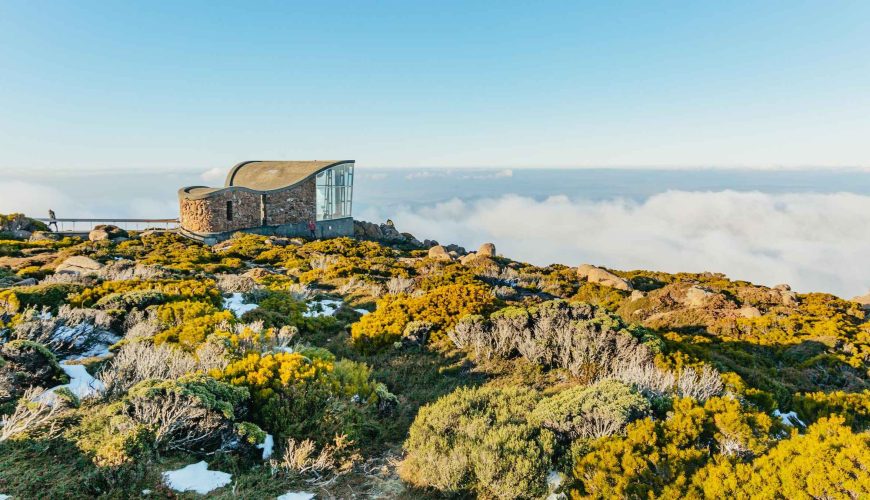 Mont Wellington, Mont Field, Bonorong et Richmond en 1 jour depuis Hobart