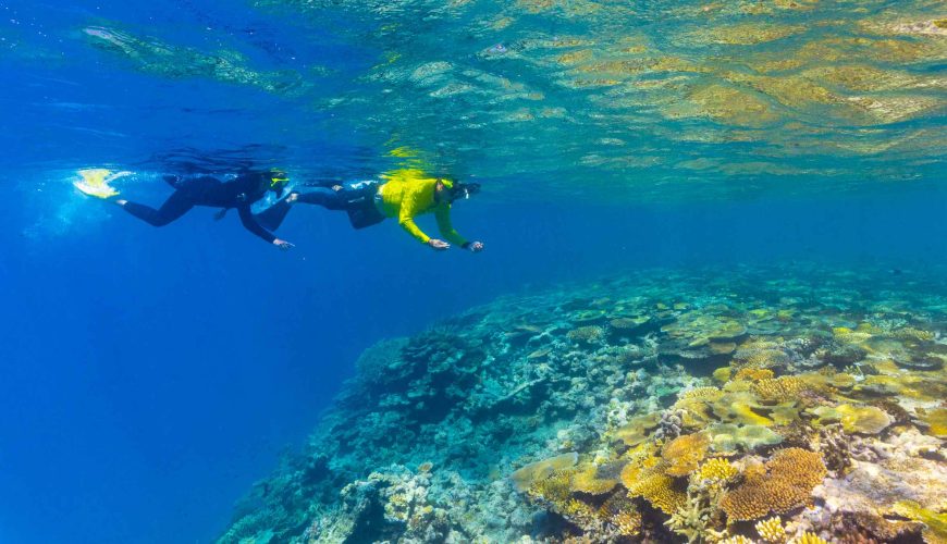 Snorkeling sur la Grande Barrière et musée sous-marin MOUA depuis Townsville ou Magnetic Island