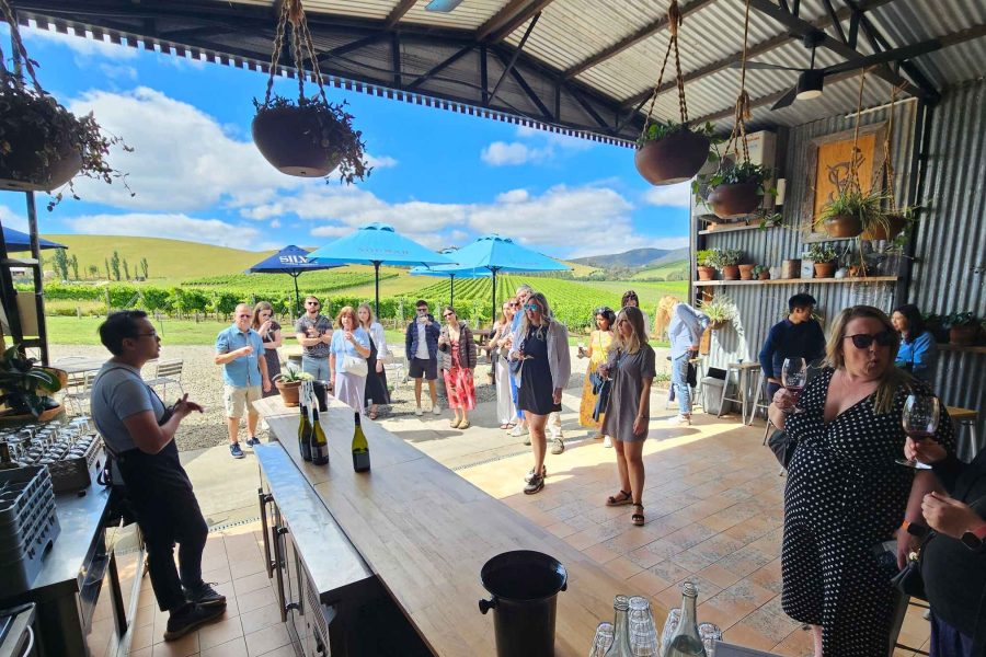 Yarra Valley depuis Melbourne : vins, gin, whisky et chocolat en 1 jour